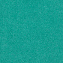 0965 Miami Foret